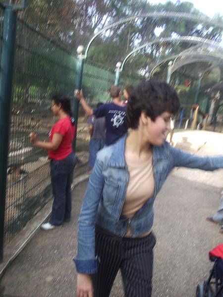 parekei